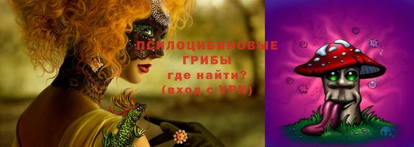 спиды Кулебаки