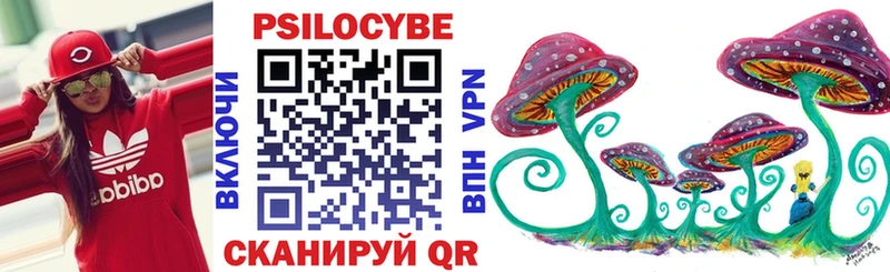 Псилоцибиновые грибы Cubensis  Купить закладки  Электрогорск 
